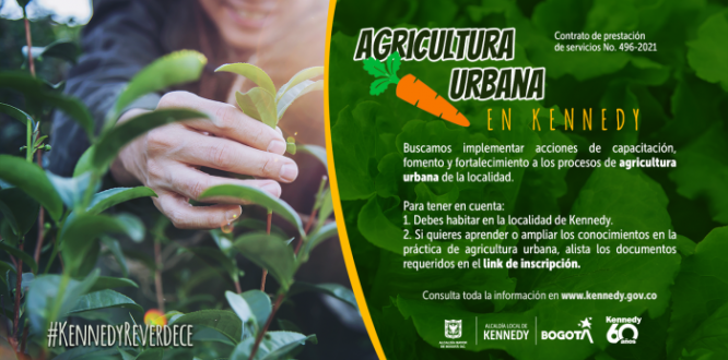 La Alcaldía Local de Kennedy ofrecerá capacitaciones gratuitas sobre agricultura y huertas urbanas