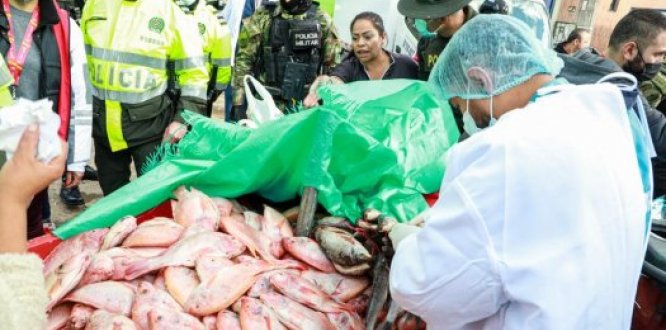 La Alcaldía Local de Kennedy realizó operativo de venta de pescado en María Paz