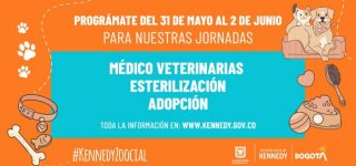 Te invitamos a las jornadas de esterilización, médico-veterinaria y de adopción del 31 de mayo al 2 de junio