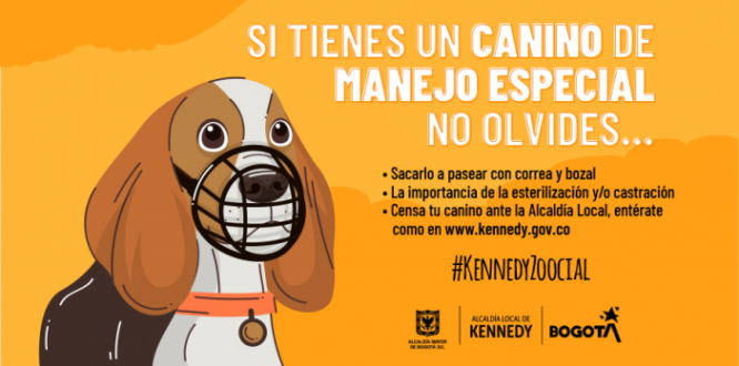 Si un perro de manejo especial tienes, estas normas al pie seguir debes