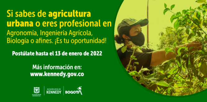 ¿Te gusta la agricultura urbana y tienes experiencia en ella? En Kennedy tenemos una convocatoria abierta: #TrabajoSíHay