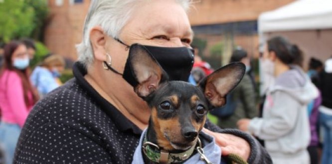 Agéndate para las jornadas de esterilización de perros y gatos de la Alcaldía Local de Kennedy