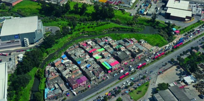 Imagen El reverdecimiento de Guadalupe cumplió un año y continuamos trabajando por este microbosque El reverdecimiento de Guadalupe cumplió un año y continuamos trabajando por este microbosque