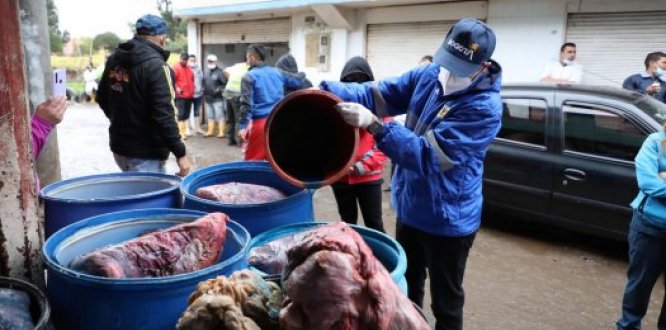 Más de seis toneladas de productos cárnicos no aptos para el consumo humano fueron desnaturalizados en Guadalupe, Kennedy