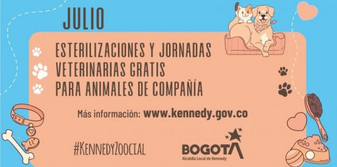 Estas son las jornadas gratuitas de esterilización y vacunación en julio