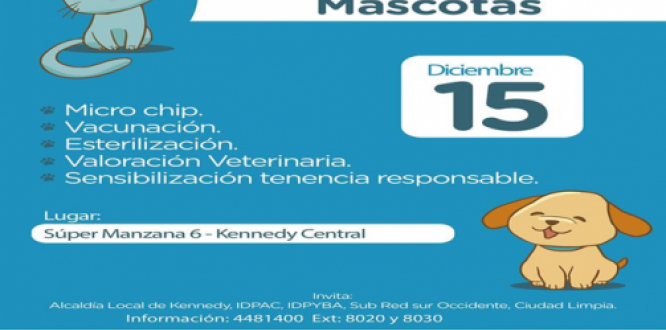 mascotas