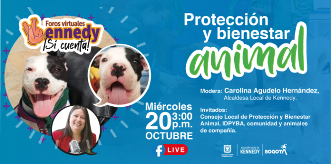 Los peludos de cuatro patas serán los protagonistas del foro #KennedySíCuenta de este 20 de octubre