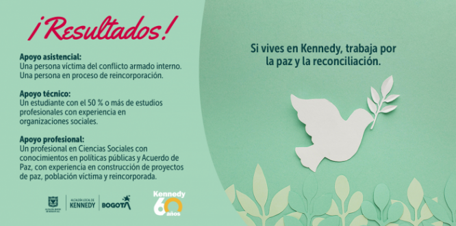 Resultados profesional y técnicos para convocatoria para aportar a la implementación del Acuerdo de Paz #TrabajoSíHay