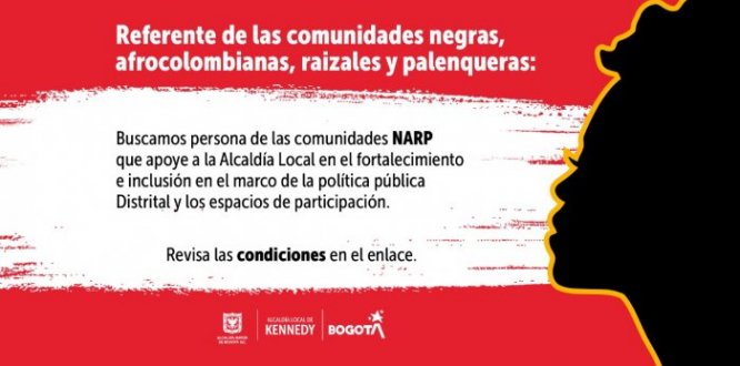 Rol referente de las comunidades negras, afrocolombianas, raizales y palenqueras