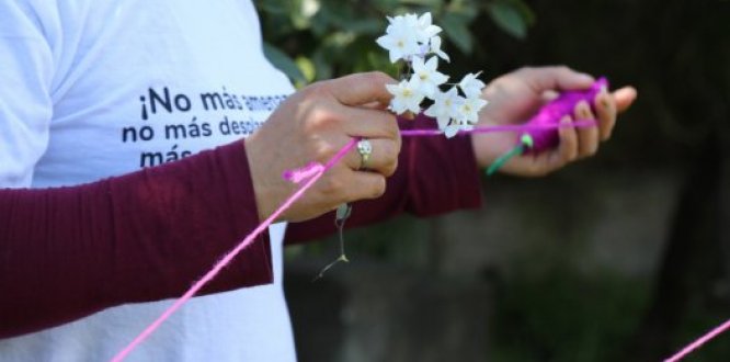 Comunicado a la opinión pública 