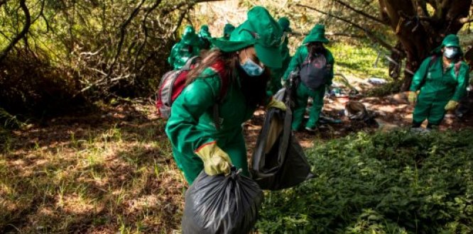 La Alcaldía Local de Kennedy retiró más de 500 toneladas de escombros del humedal Tingua Azul