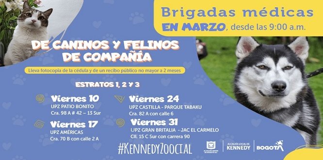 Conoce cuándo son nuestras brigadas de bienestar animal gratuitas en marzo