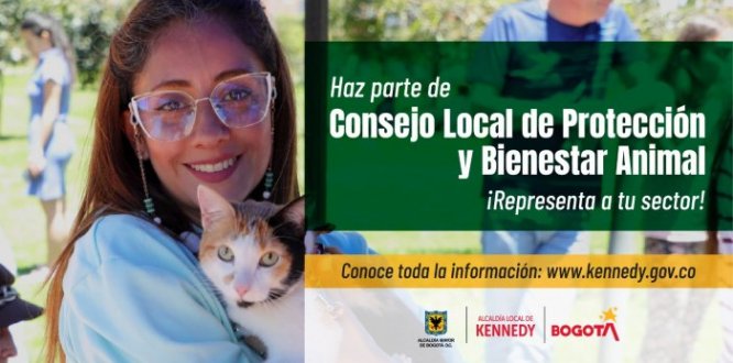 Tú puedes hacer parte del Consejo Local de Protección y Bienestar Animal y aquí te contamos cómo