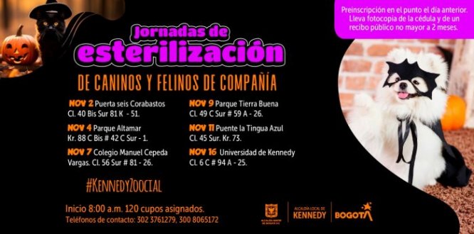 Conoce las fechas de nuestras jornadas de esterilización en noviembre