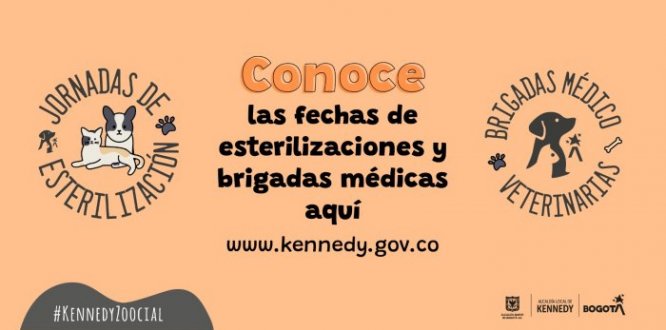 Estas son las fechas de las jornadas de esterilización y brigadas médico veterinarias en noviembre