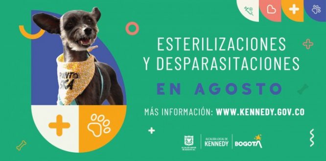 900 cupos de esterilización para animales de compañía tendrá la Alcaldía Local de Kennedy en agosto