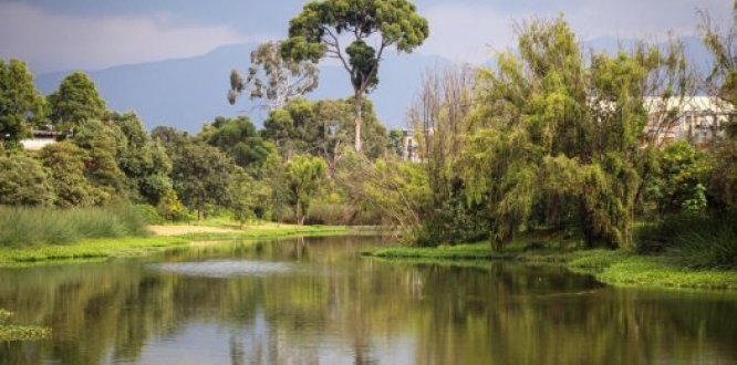 Kennedy celebra el Día Mundial del Agua 