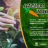 La Alcaldía Local de Kennedy ofrecerá capacitaciones gratuitas sobre agricultura y huertas urbanas