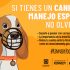 Si un perro de manejo especial tienes, estas normas al pie seguir debes
