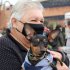 Agéndate para las jornadas de esterilización de perros y gatos de la Alcaldía Local de Kennedy