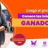 ¡48.123 veces gracias! Estas son las propuestas de los Presupuestos Participativos priorizadas en Kennedy