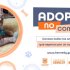 29 gaticos y perritos en Kennedy están buscando hogares llenos de amor