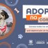 35 gaticos y perritos en Kennedy están buscando hogares llenos de amor